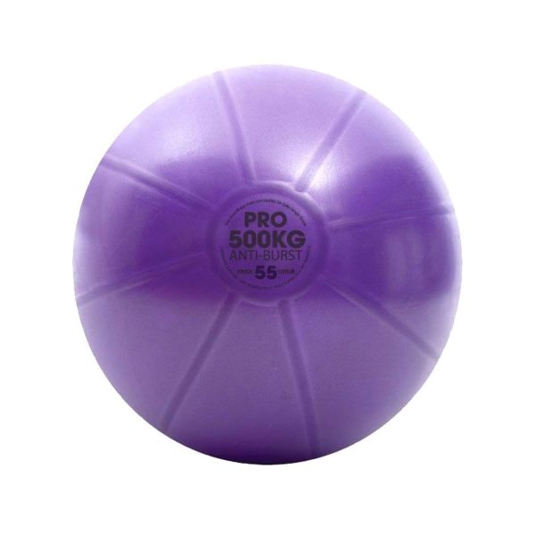 Yoga Bal met pomp - 500 kg - 55 cm
