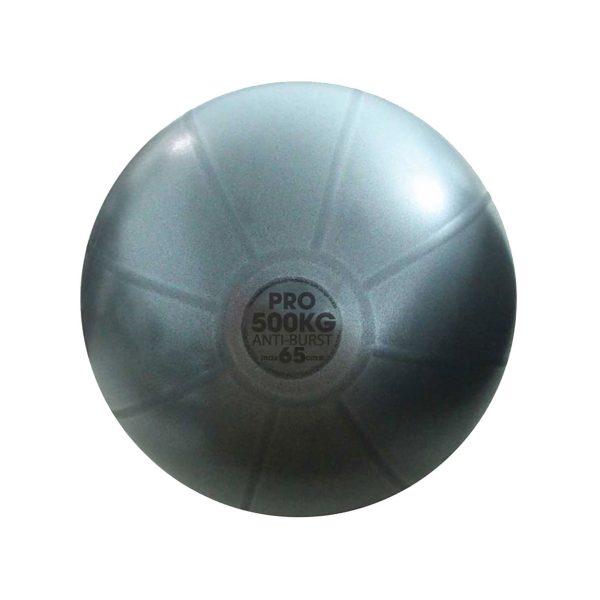 Fitball - 500 kg - 65 cm