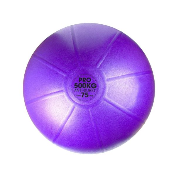 Swiss Fitnessbal met pomp - 500 kg, 75 cm