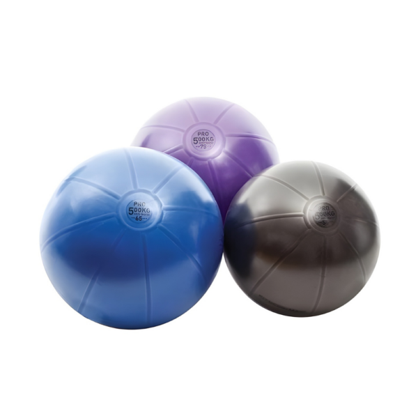 Fitball - 500 kg - 65 cm