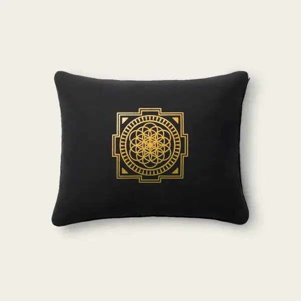 Shakti Spijkermat Kussen Advanced - Niveau 3